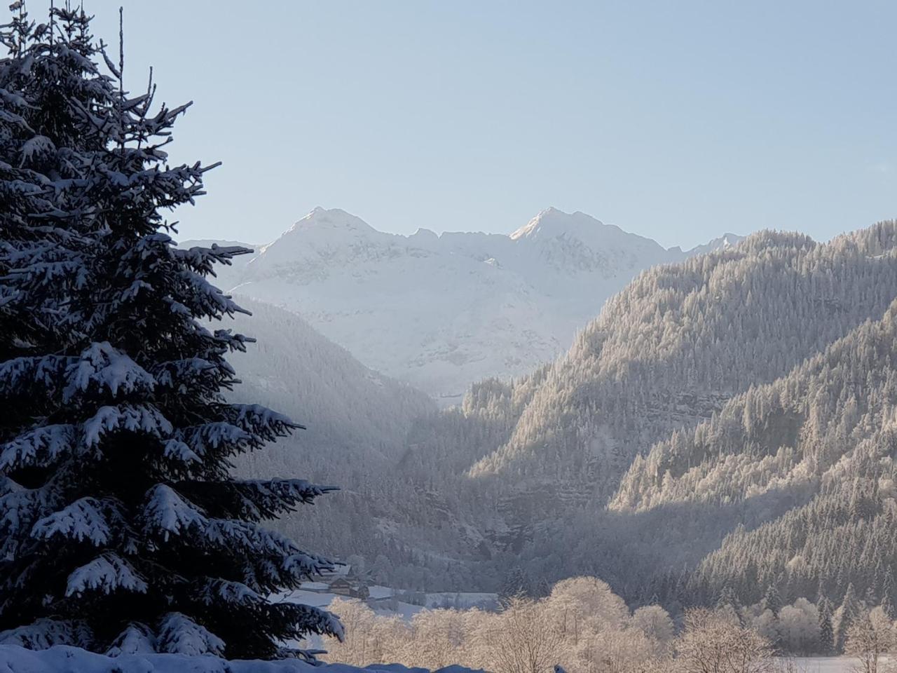 Ferienhaus Poettler Untertauern Exterior foto
