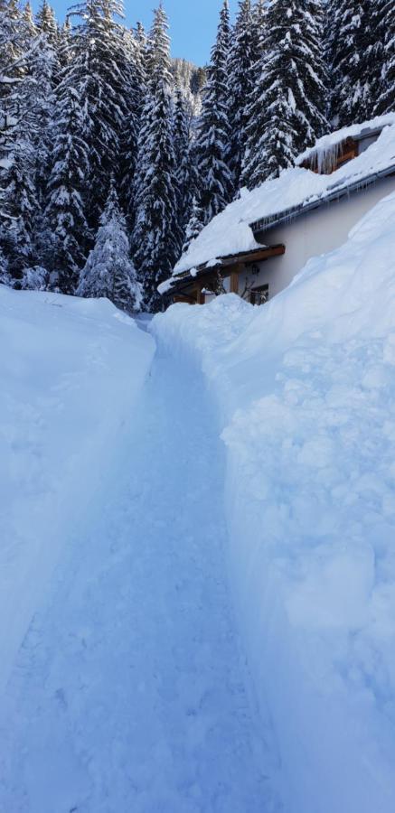 Ferienhaus Poettler Untertauern Exterior foto